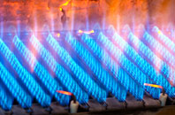 Dolau gas fired boilers